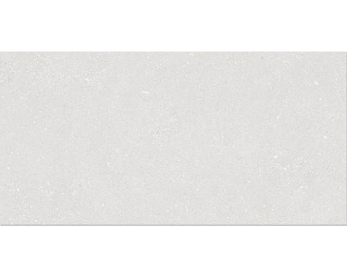 Feinsteinzeug Wand- und Bodenfliese Alpen weiss matt BxLxS 30 cm x 60 cm x 1 cm Helle, strukturierte Bodenfliese