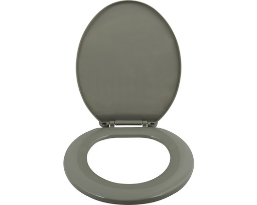 Grauer Toilettendeckel aus Kunststoff, offene Position