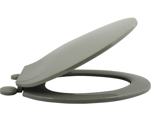 Toilettendeckel aus Kunststoff