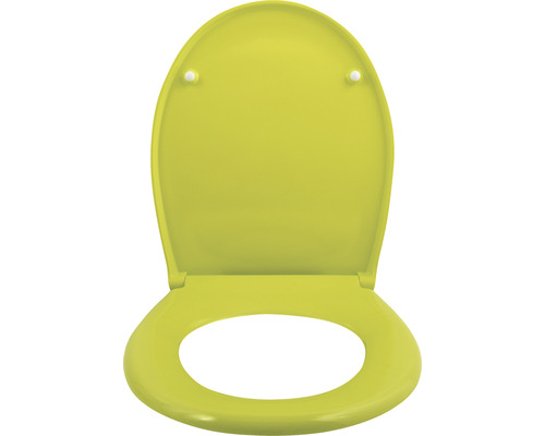 Toilettendeckel aus Kunststoff