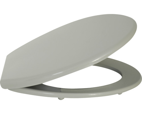 Abattant de WC gris en plastique