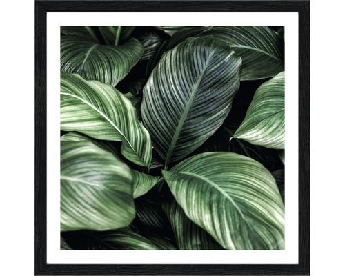 Gerahmtes Bild Jungle Leaves I 28x28 cm