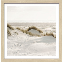 Image encadrée d''un paysage de dunes en bord de mer