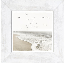 Image encadrée avec une plage, des oiseaux et la mer