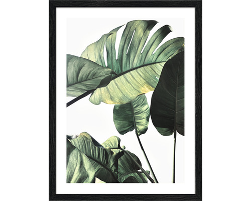 Tableau encadré Jungle Leaves II 33x43 cm