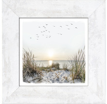Image encadrée avec motif de plage, dunes, herbe et groupe d''oiseaux