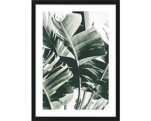 Gerahmtes Bild Jungle Leaves IV 53x73 cm
