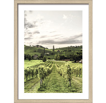 Gerahmtes Bild einer Weinlandschaft mit Blick auf einen Weinberg