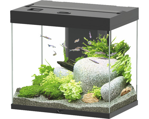 Aquarium aquatlantis Splendid 110 avec éclairage, filtre noir