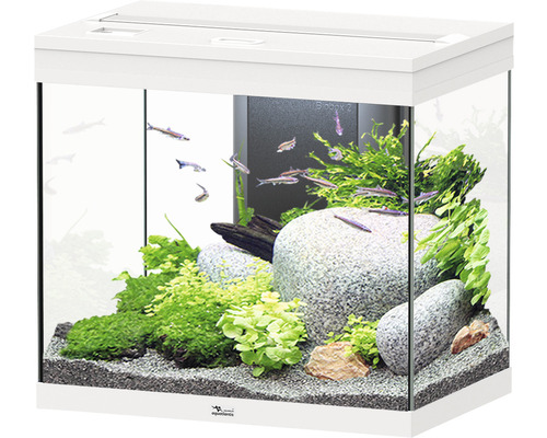 Aquarium aquatlantis Splendid 110 avec éclairage, filtre blanc
