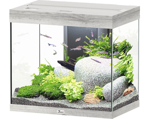 Aquarium aquatlantis Splendid 110 inkl. Beleuchtung, Filter Esche weiss