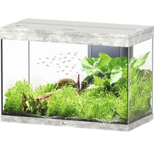 Aquarium avec plantes, poissons et bordure grise