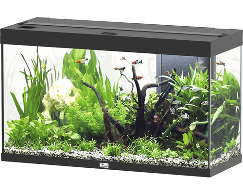 Aquarium aquatlantis Splendid 200 inkl. Beleuchtung, Filter schwarz