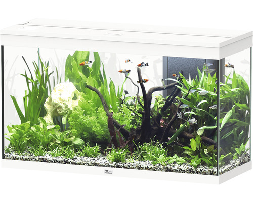 Aquarium aquatlantis Splendid 200 inkl. Beleuchtung, Filter weiss