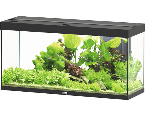 Aquarium aquatlantis Splendid 240 inkl. Beleuchtung, Filter schwarz