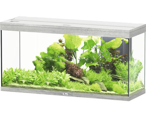 Aquarium aquatlantis Splendid 240 avec éclairage, filtre frêne blanc