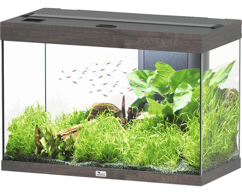 Aquarium aquatlantis Splendid 145 avec éclairage, filtre chêne sauvage foncé