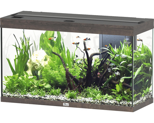 Aquarium aquatlantis Splendid 200 avec éclairage, filtre foncé