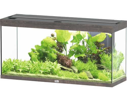 Aquarium aquatlantis Splendid 240 inkl. Beleuchtung, Filter Wildeiche dunkel Aquarium mit Pflanzen und Fischen