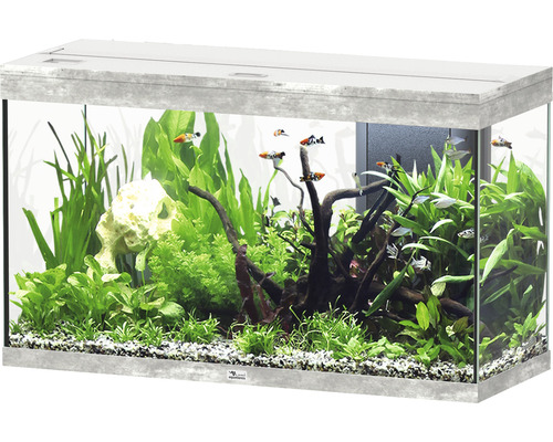Aquarium aquatlantis Splendid 200 avec éclairage, filtre aspect pierre