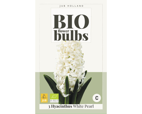 Blumenzwiebel "Bio Hvacinthus White Pearl" 14/15