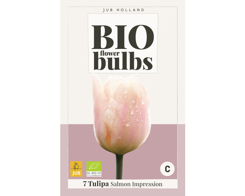 Blumenzwiebel "Bio Tulipa Salmon Impression" 11+