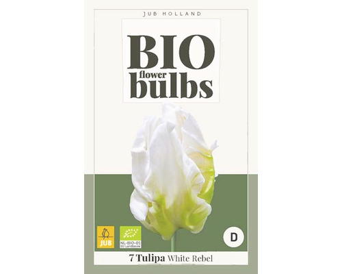 Blumenzwiebel "Bio Tulipa White Rebel" 11/+