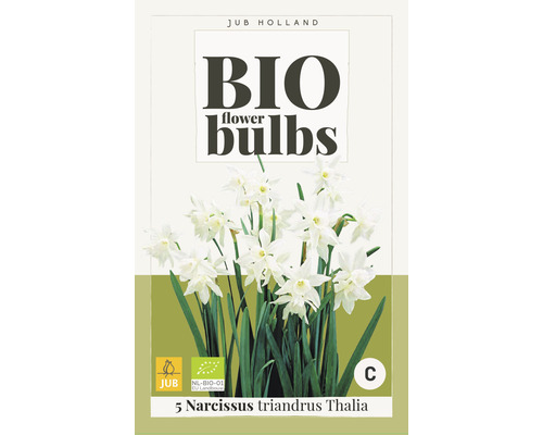 Blumenzwiebel "Bio Narcissus traindrus Thalia" 12/14