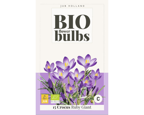 Blumenzwiebel "Bio Crocus tommasinianus Ruby Giant 5/+