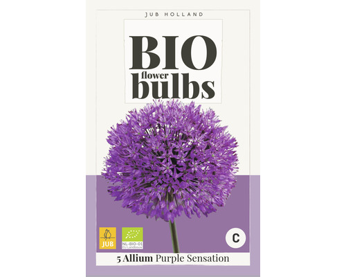 Blumenzwiebel "Bio Allium Purple Sensation" 10/12