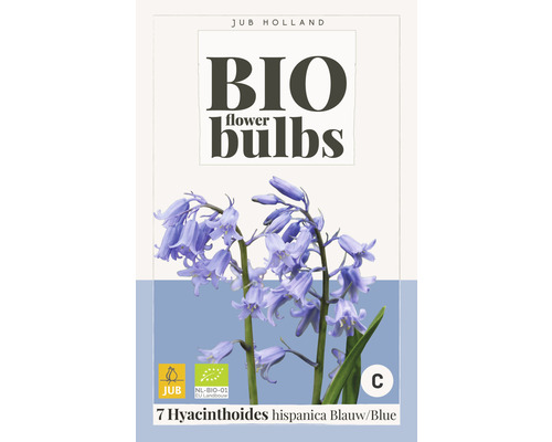 Blumenzwiebel "Bio Hyacinthoides hispanica blau" 7/+