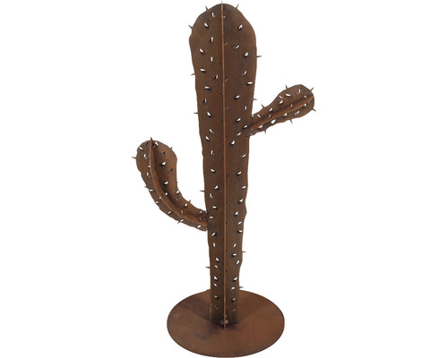 Cactus patine h 80 cm