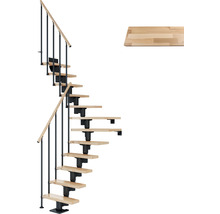Escalier gain de place avec rampe, marches et contremarche