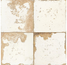 Carrelage sol et mur FS Heritage white LT 45x45 cm