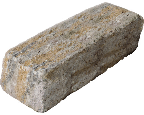 iBrixx Passion calcaire coquillier 50 x 16,5 x 15cm