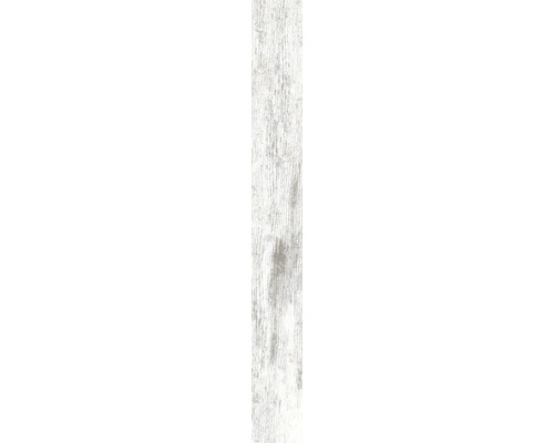 Wand- und Bodenfliese FS Melvin white 7.4x67.5 cm