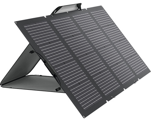 Ecoflow Notstrom Solarmodul Bifacial faltbar 220 W 82 x 183 x 2.5 cm inkl. Tragetasche