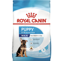 Royal Canin Hundefutter Maxi Puppy 4 KG