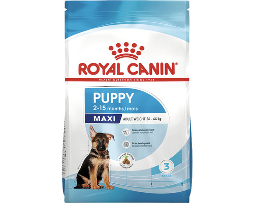 Aliment sec Royal Canin Maxi Puppy pour chiots de deux à 15 mois avec un poids adulte de 26 à 44 kilogrammes.