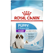Royal Canin Hundefutter Giant Puppy 15 kg