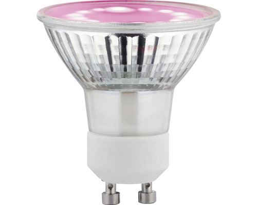 Ampoule LED pour plantes GU10 2,4 W lumineuse variable