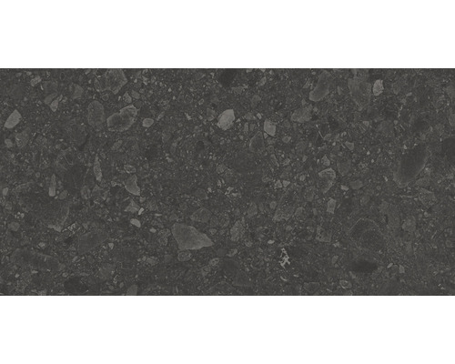 Feinsteinzeug Wand- und Bodenfliese Terrazzo Donau graphit 30x60x1 cm matt rektifiziert Feinsteinzeug Wand- und Bodenfliese Terrazzo Donau graphit 30x60x1 cm matt rektifiziert