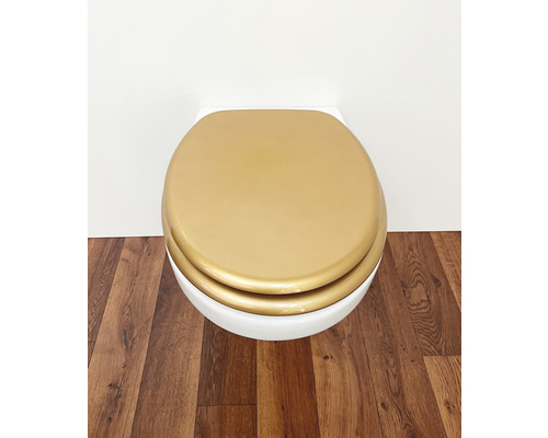 WC suspendu avec siège de toilette