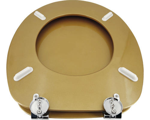 Abattant de WC en plastique avec charnières en acier inoxydable