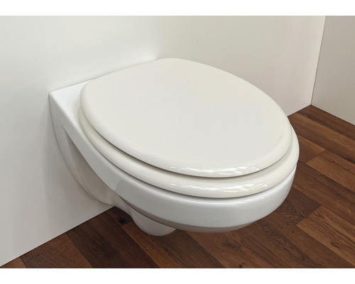 Wandhängendes WC mit Toilettendeckel
