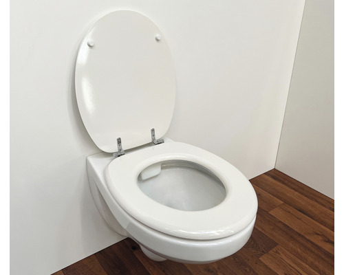 Wandhängendes WC mit offenem Toilettendeckel