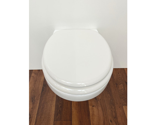 Wand-WC mit Toilettendeckel auf Holzboden