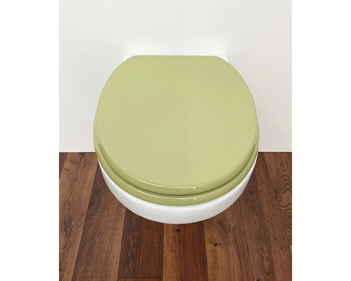 Toilette avec couvercle fermé