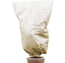 Plante avec voile d'hivernage en pot