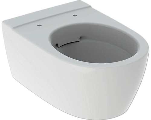 WC suspendu sans rebord Keramag iCon blanc T: 53 cm 204070000